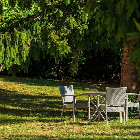 Hotel Logis Noemys Morgon Villié-Morgon Zewnętrze zdjęcie