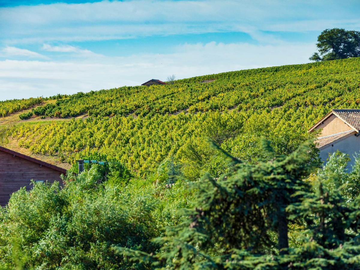 Logis Hotel Noemys Morgon Villié-Morgon Zewnętrze zdjęcie