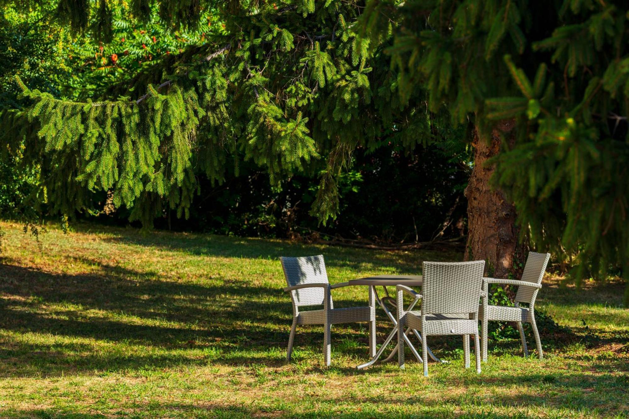 Hotel Logis Noemys Morgon Villié-Morgon Zewnętrze zdjęcie